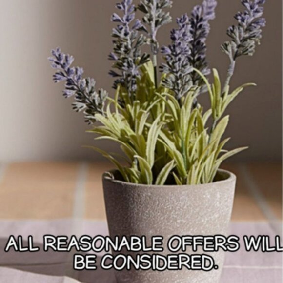 3/$13 LOST complete second season DVD set TV series - Picture 10 of 10